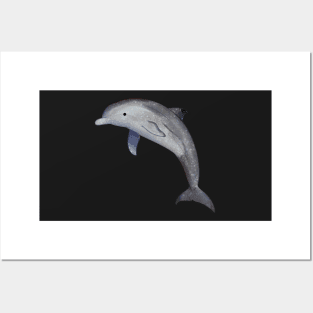 Cozy Bottlenose Dolphin Posters and Art